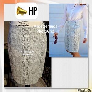NEW Ann Taylor Contrast Gray Snakeskin Scale Print Panel Straight Pencil Skirt 4
